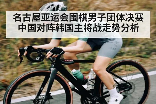 名古屋亚运会围棋男子团体决赛中国对阵韩国主将战走势分析